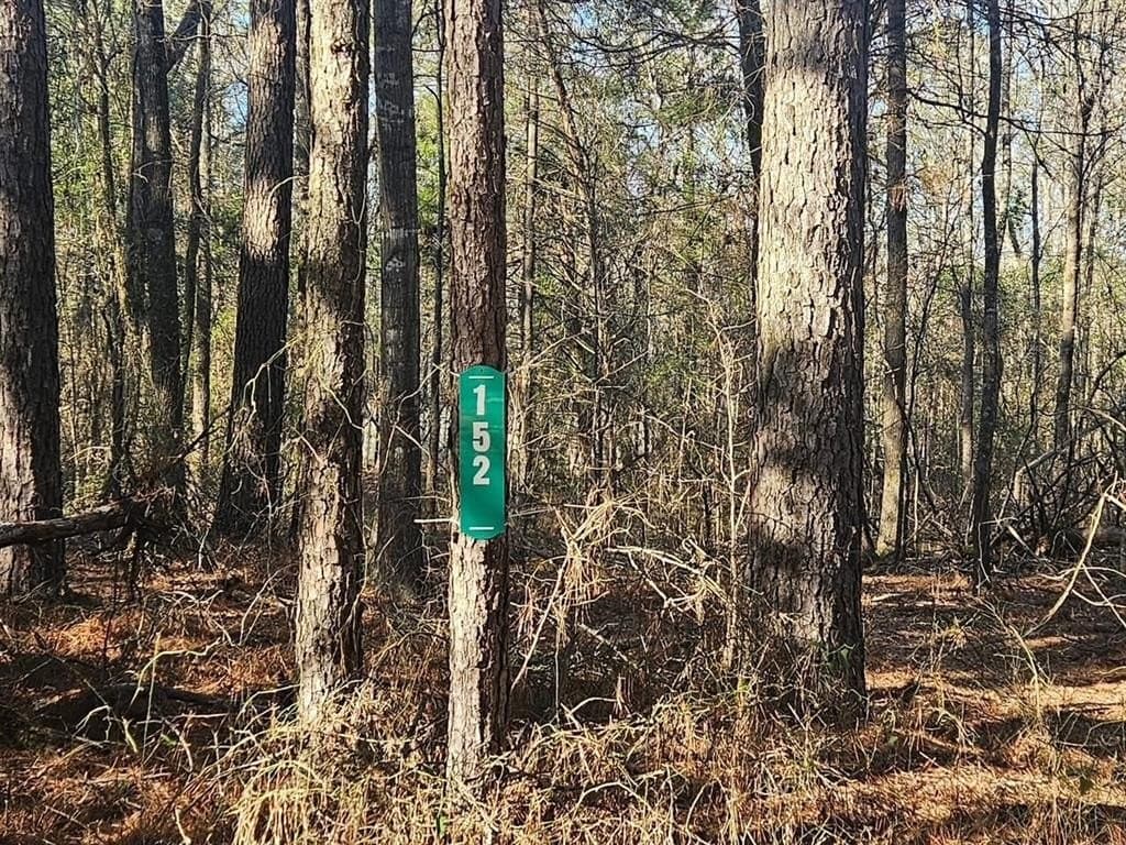 4.8 acres in Camp County - photo 3