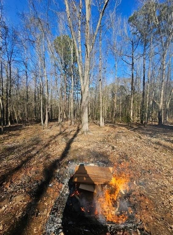 4.8 acres in Camp County - photo 2