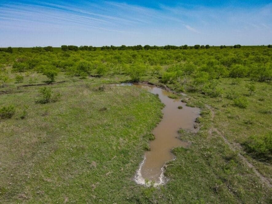 78 acres in Navarro County - photo 14