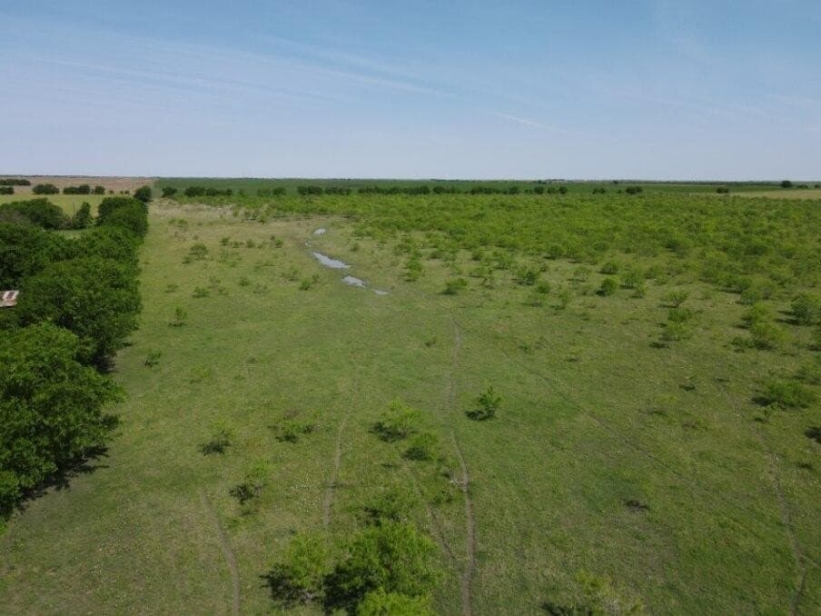 78 acres in Navarro County - photo 3