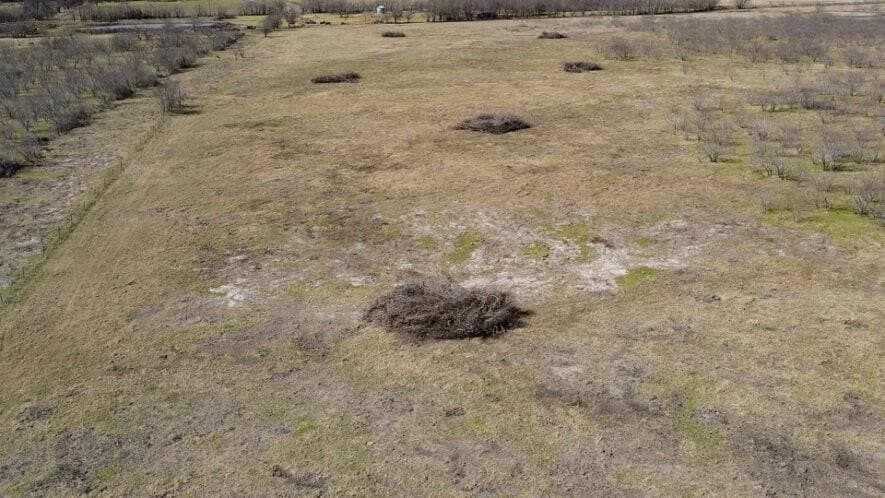 78 acres in Navarro County - photo 12