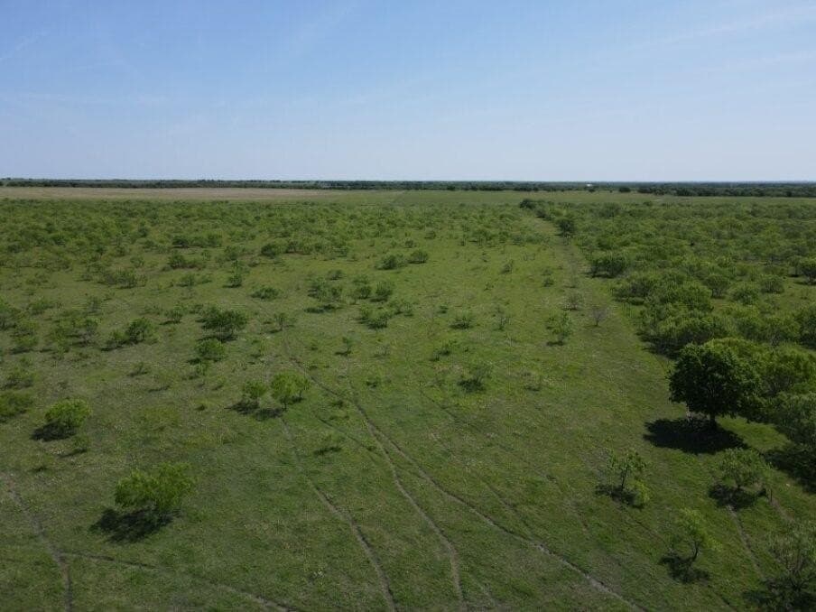 78 acres in Navarro County - photo 2
