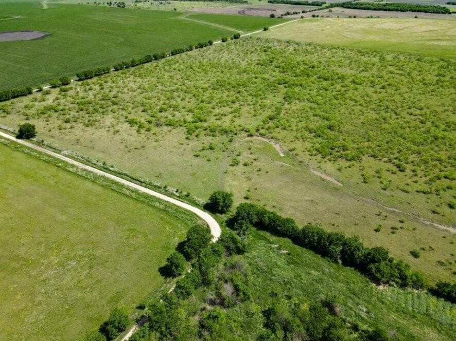 78 acres in Navarro County - photo 13