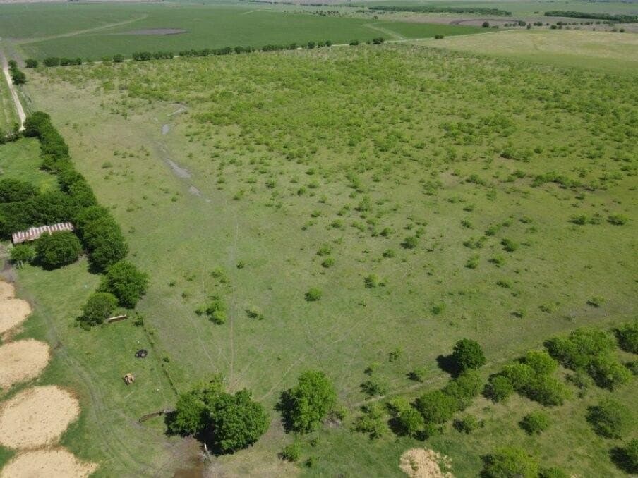 78 acres in Navarro County - photo 10