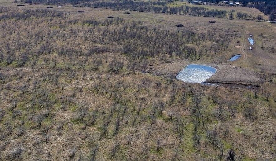 78 acres in Navarro County - photo 15