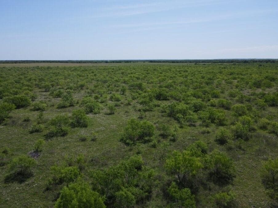 78 acres in Navarro County - photo 5