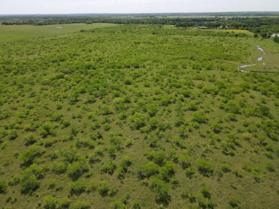 78 acres in Navarro County - photo 7
