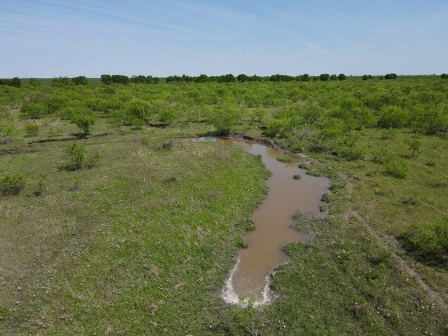 78 acres in Navarro County - photo 11