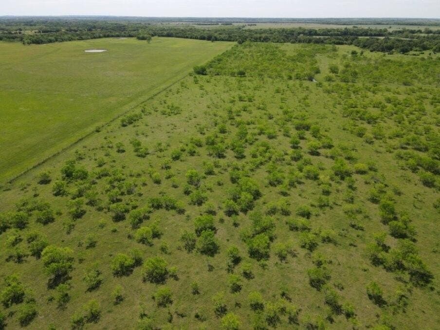 78 acres in Navarro County - photo 8