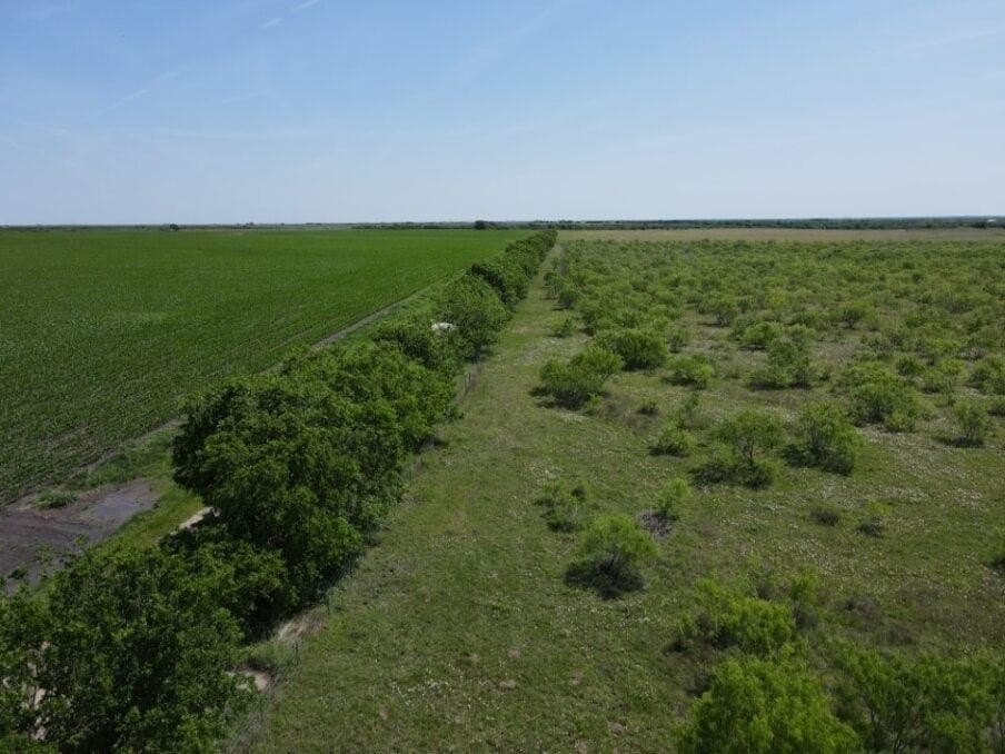 78 acres in Navarro County - photo 6