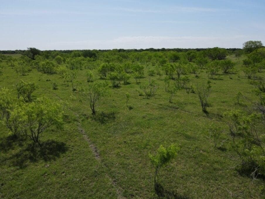 78 acres in Navarro County - photo 9