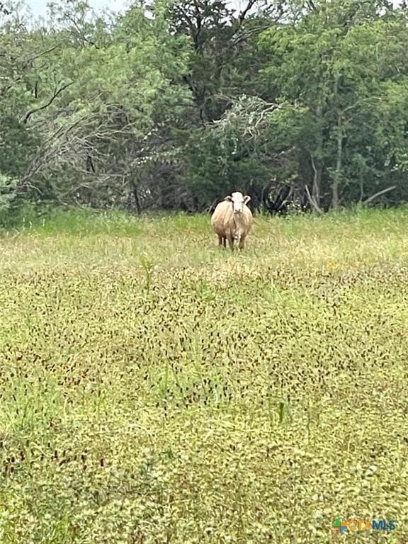 6.43 acres in Coryell County - photo 22