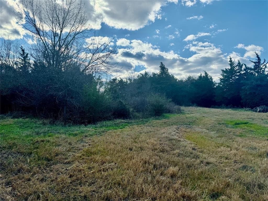 29 acres in Hopkins County - photo 2