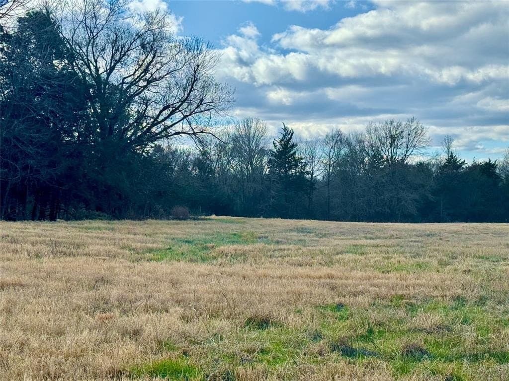 29 acres in Hopkins County - photo 7