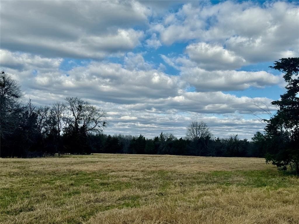 29 acres in Hopkins County - photo 8