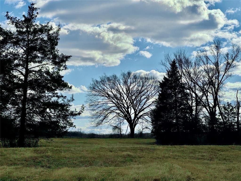 29 acres in Hopkins County - photo 3
