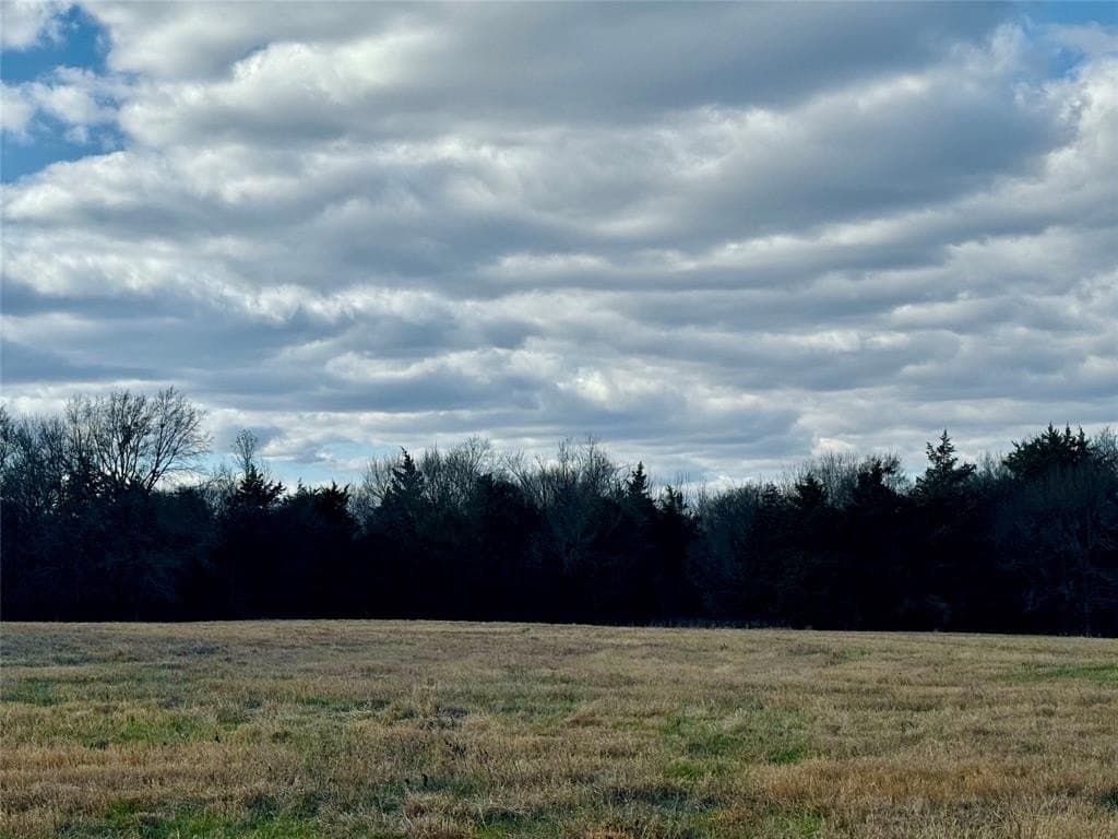 29 acres in Hopkins County - photo 6