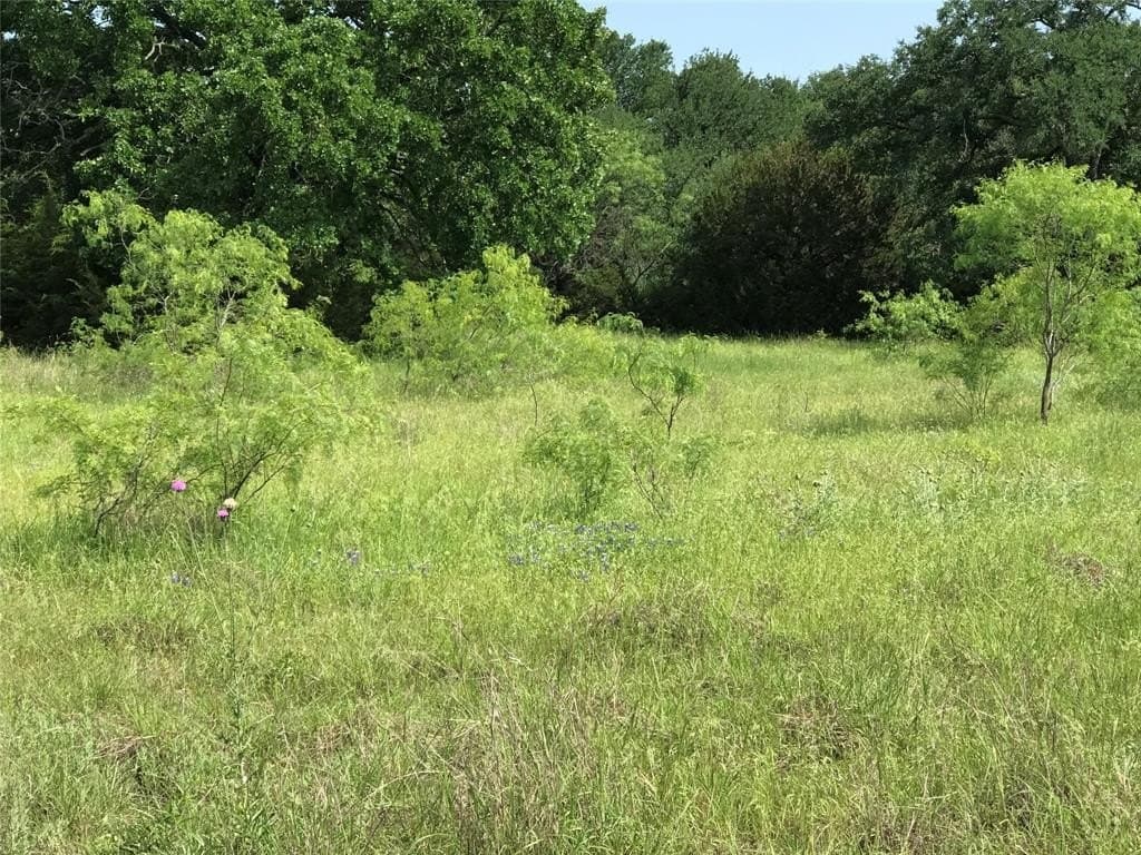 0.92 acres in Hill County - photo 5