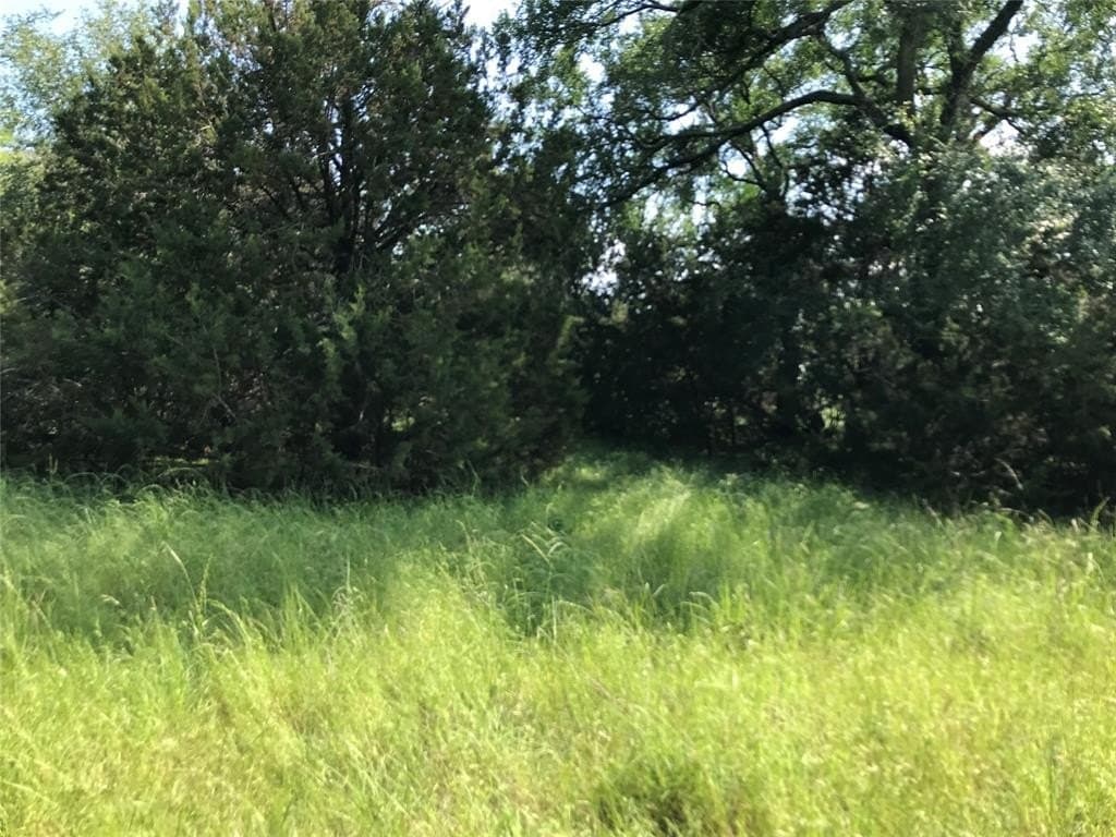 0.92 acres in Hill County - photo 33