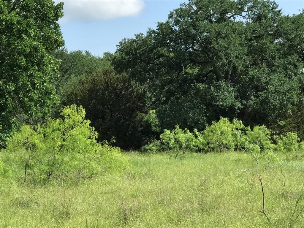0.92 acres in Hill County - photo 6