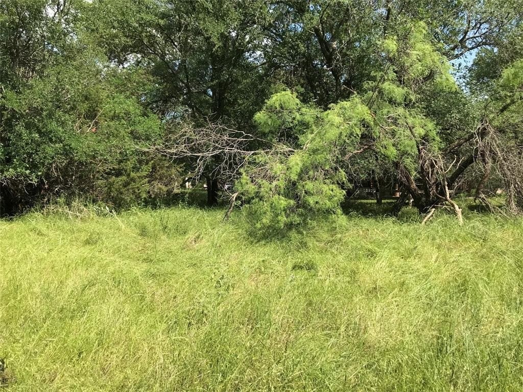 0.92 acres in Hill County - photo 25