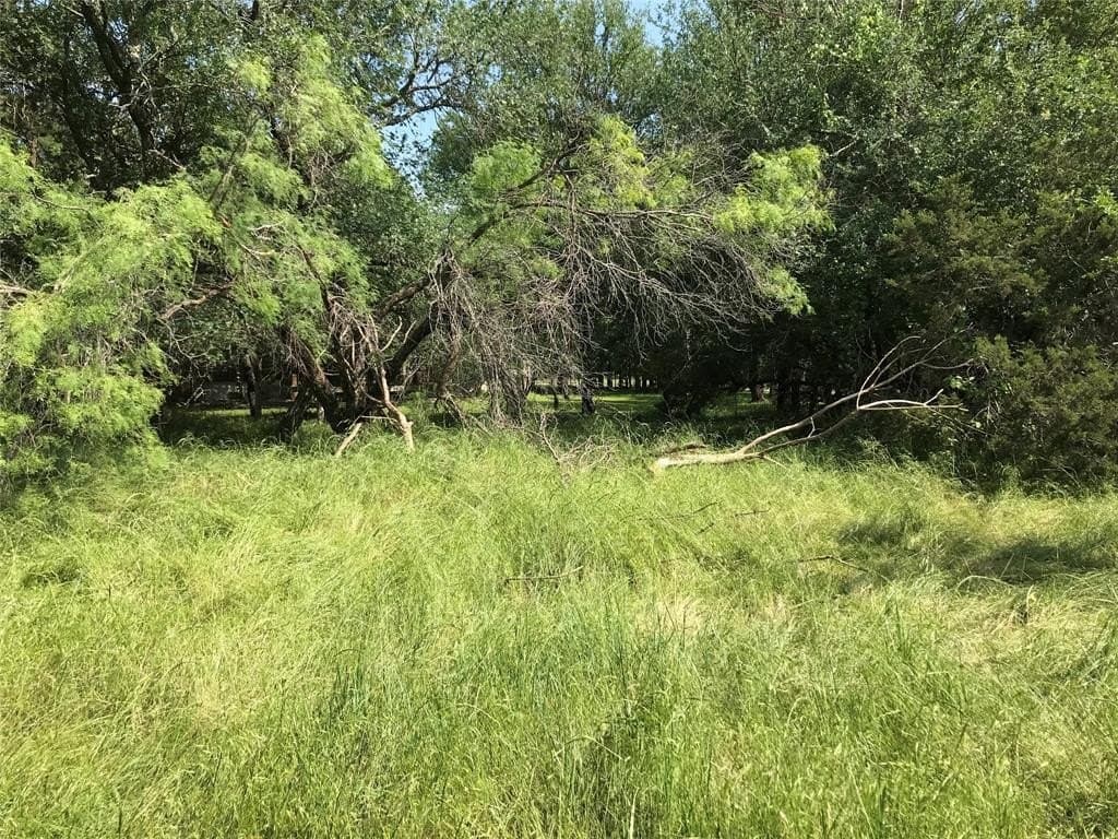 0.92 acres in Hill County - photo 27