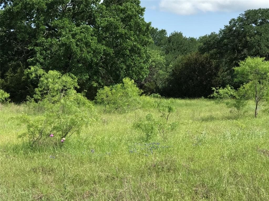 0.92 acres in Hill County - photo 4
