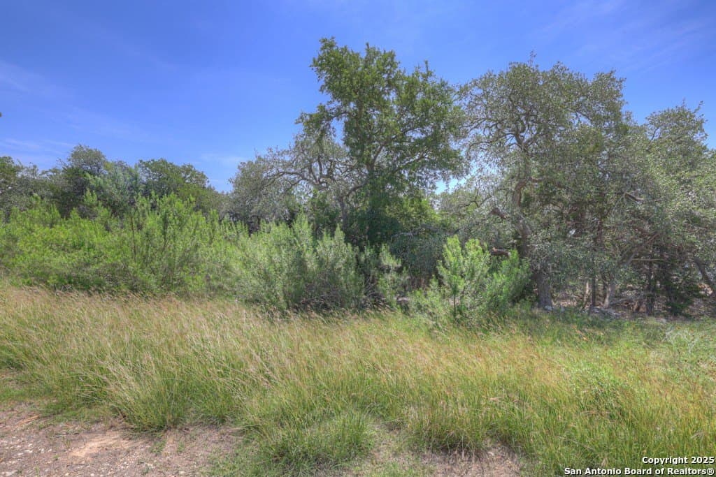 1.48 acres in Comal County - photo 7