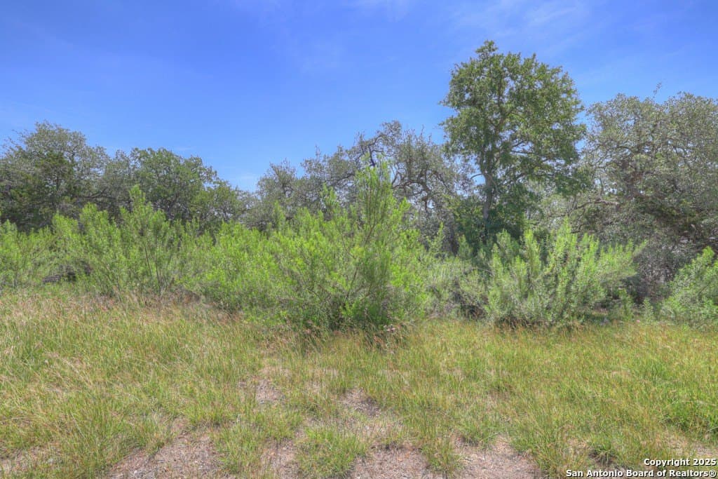 1.48 acres in Comal County - photo 8