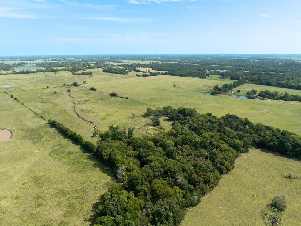 102.95 acres in VAN ZANDT County - photo 11