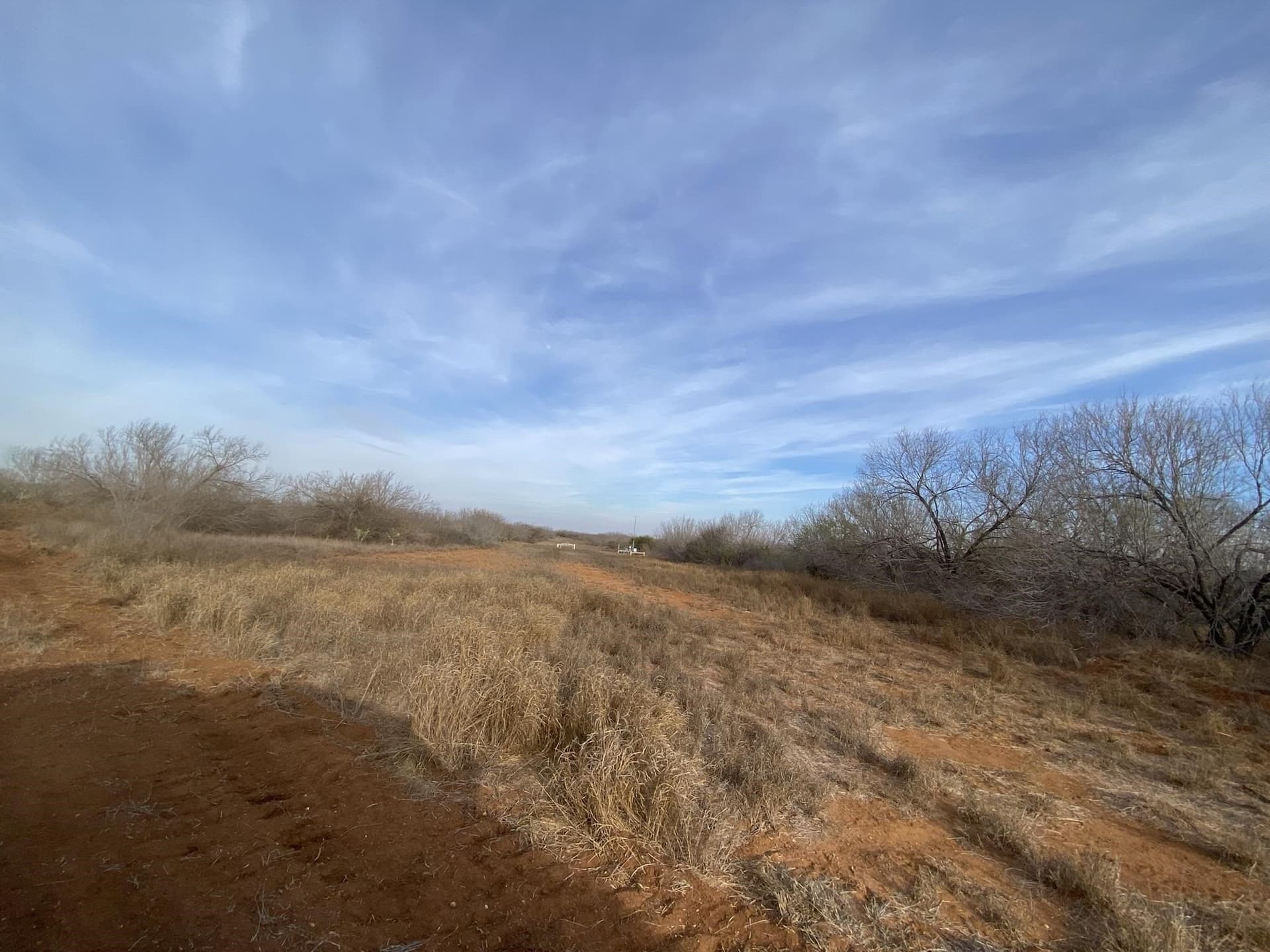 29 acres in La Salle County - photo 6