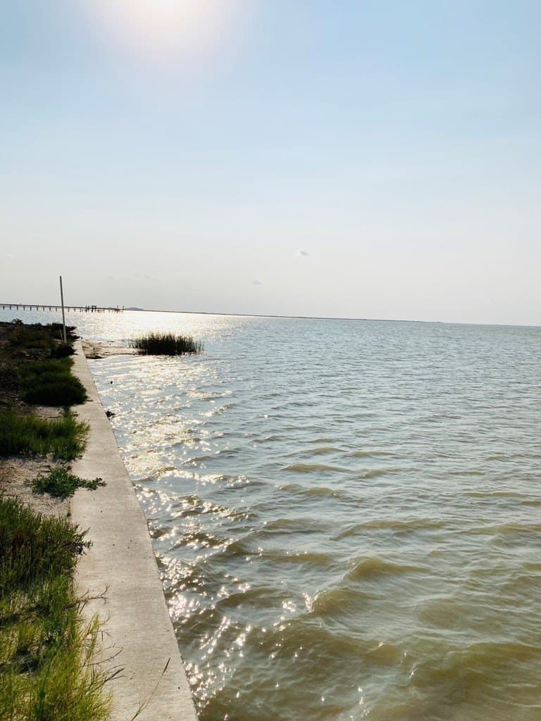 0 acres in Texas County - photo 8