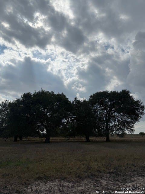 57.13 acres in Karnes County - photo 2