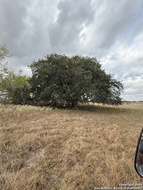 57.13 acres in Karnes County - photo 10
