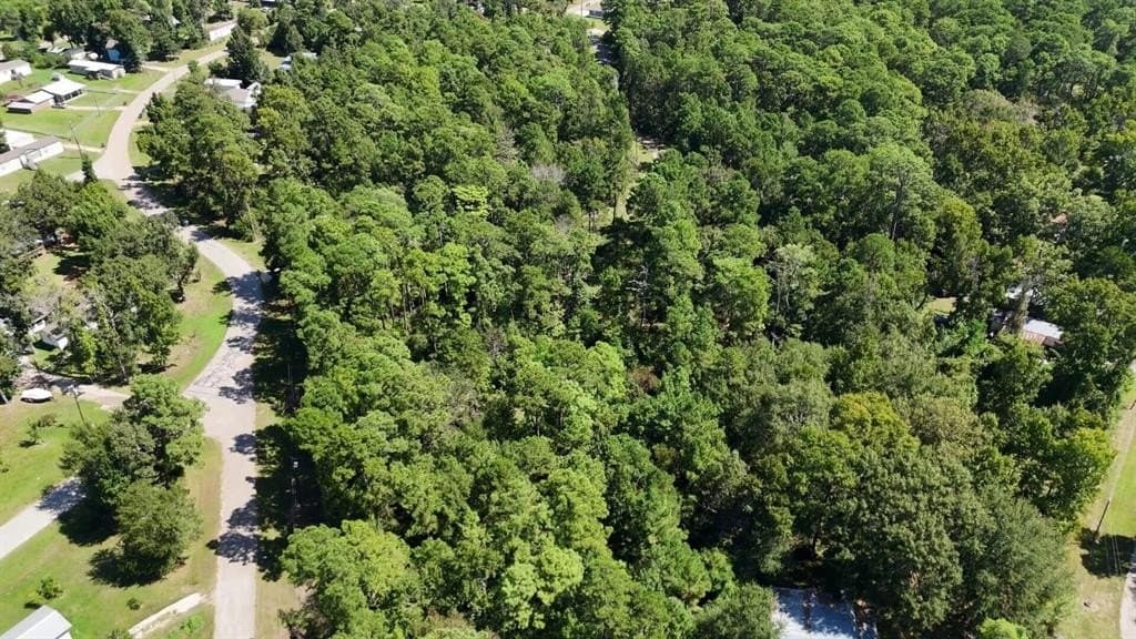 0.31 acres in Polk County - photo 21