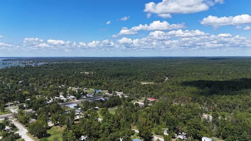 0.31 acres in Polk County - photo 24
