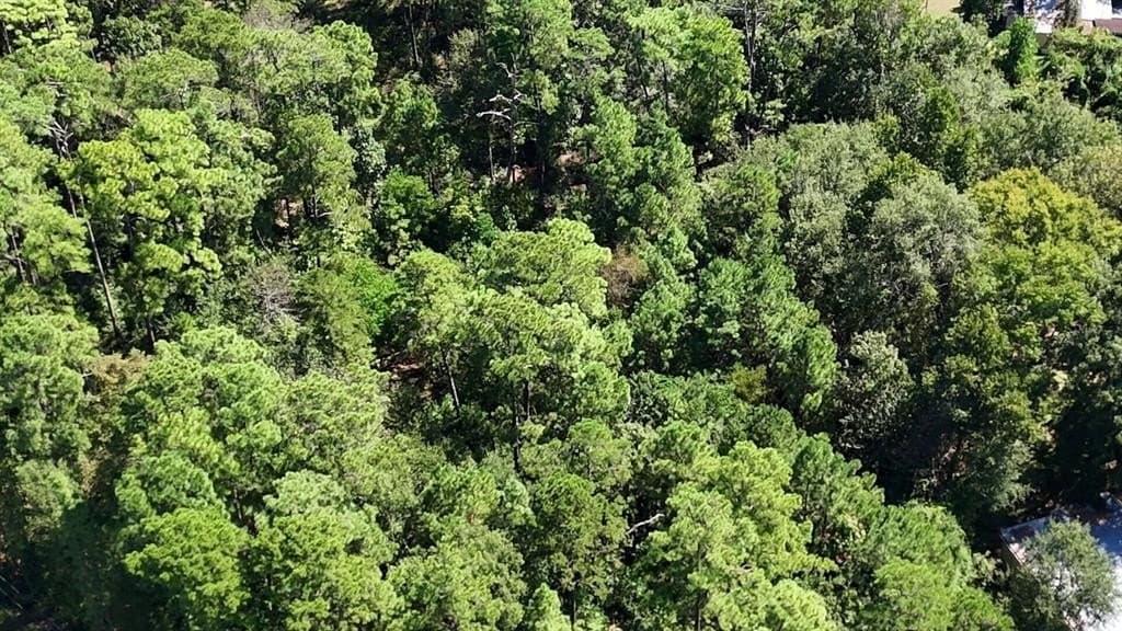 0.31 acres in Polk County - photo 15