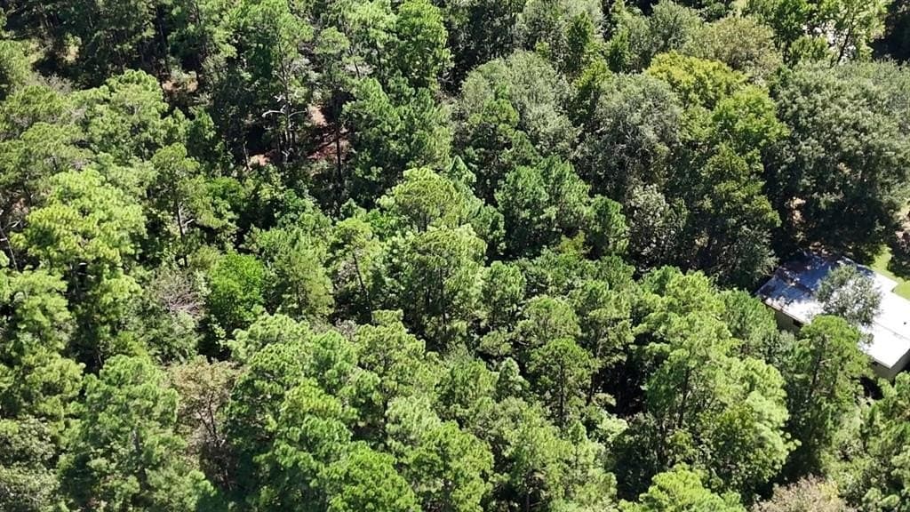 0.31 acres in Polk County - photo 12