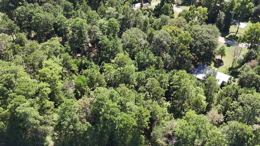 0.31 acres in Polk County - photo 11