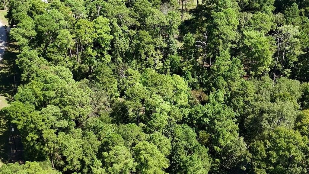 0.31 acres in Polk County - photo 18