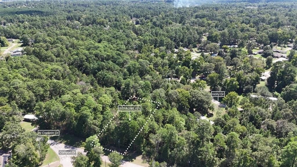 0.31 acres in Polk County - photo 6