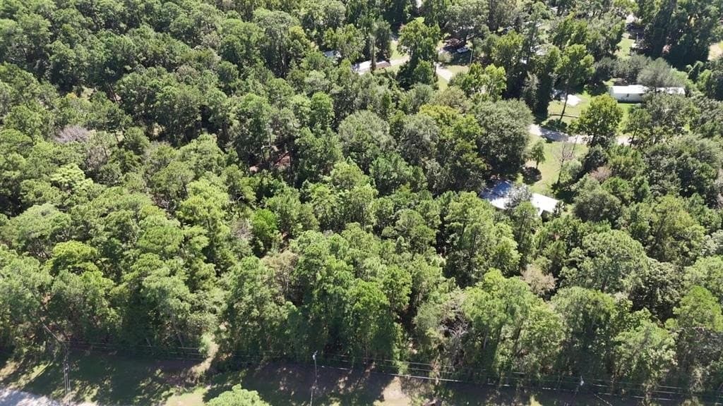 0.31 acres in Polk County - photo 10