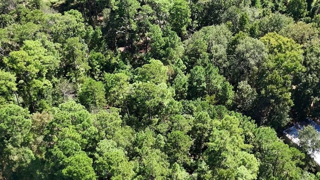 0.31 acres in Polk County - photo 14