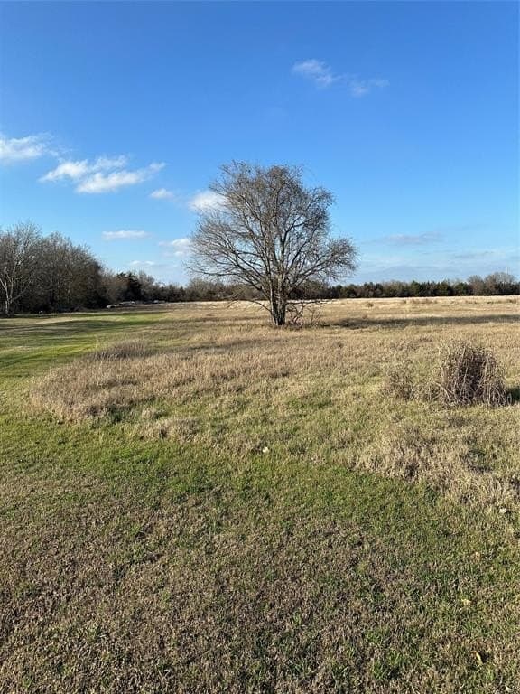 140 acres in Navarro County - photo 2