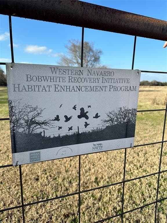140 acres in Navarro County - photo 4