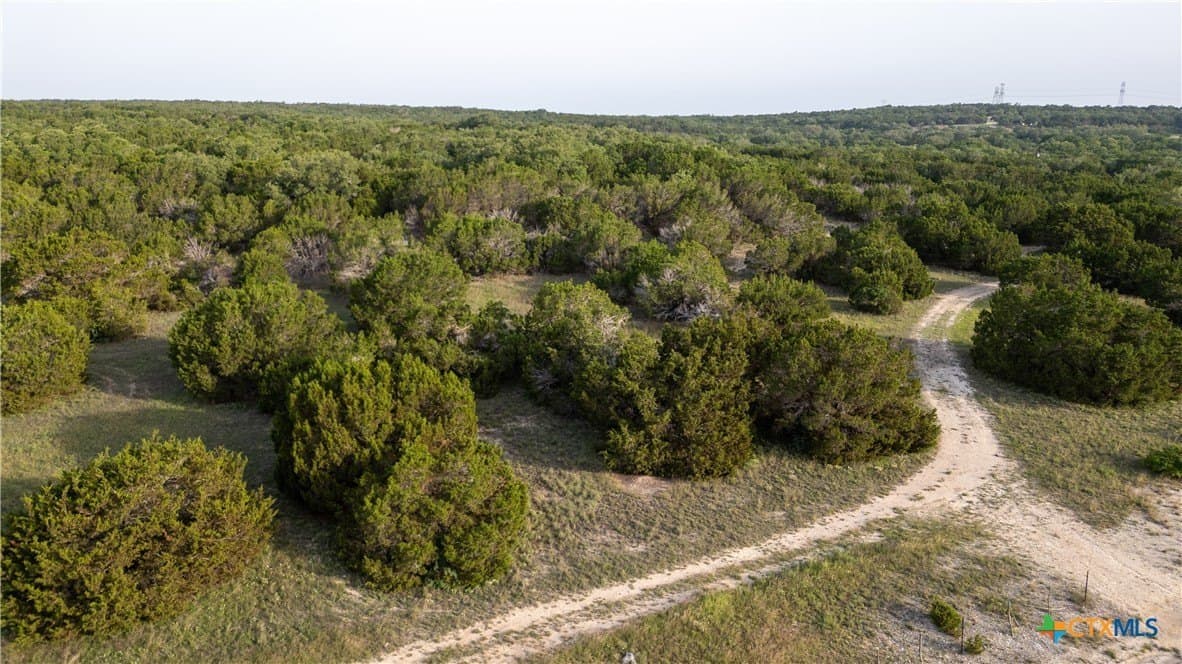 11.17 acres in Bell County - photo 14