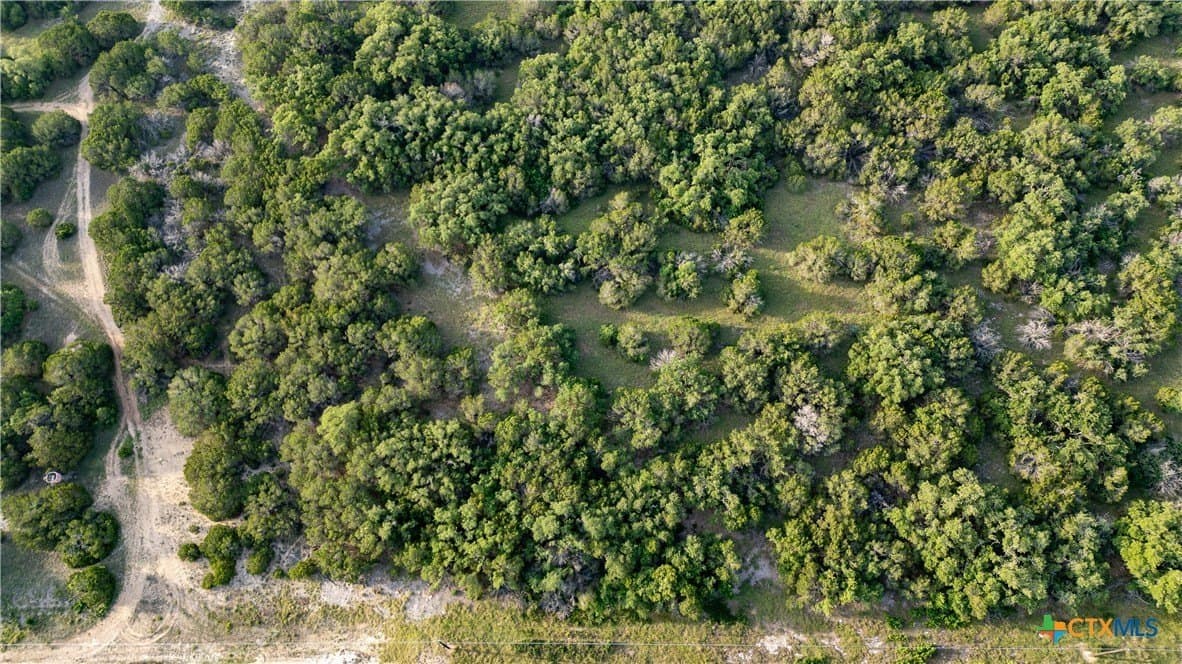 11.17 acres in Bell County - photo 10
