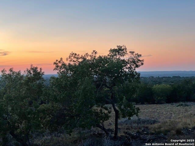 0 acres in Blanco County - photo 3