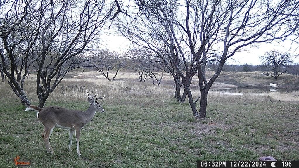 27 acres in Eastland County - photo 37