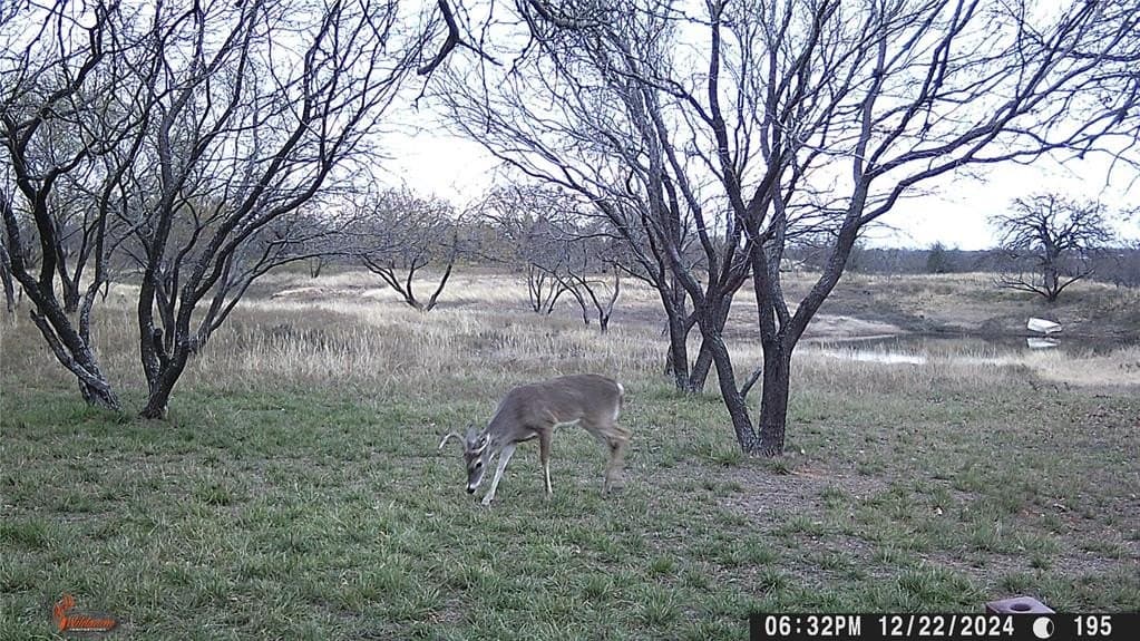 27 acres in Eastland County - photo 36